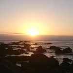 翔さんのプロフィール画像