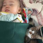 Andyさんのプロフィール画像