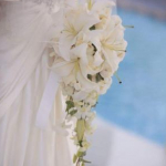 チロミルさんのプロフィール画像