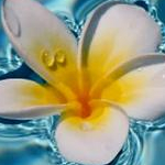 マリンさんのプロフィール画像