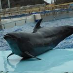 koeminakさんのプロフィール画像