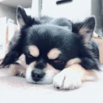 JuriMama07さんのプロフィール画像