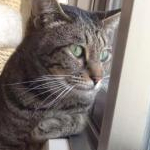 みいさんのプロフィール画像