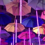 しろくろさんのプロフィール画像