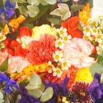 suguri555さんのプロフィール画像