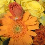 ココさんのプロフィール画像