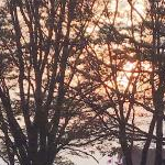 にょろさんのプロフィール画像