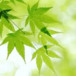 coruriさんのプロフィール画像