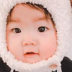 ayuzuさんのプロフィール画像