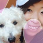 ぼんじりちゃんさんのプロフィール画像