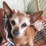 る～ぃさんのプロフィール画像