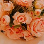 りさぴさんのプロフィール画像