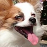 shio2528さんのプロフィール画像