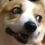 キミッティままんさんのプロフィール画像