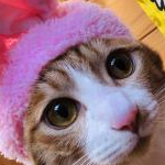 osako311さんのプロフィール画像