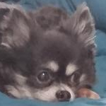 みおさんのプロフィール画像