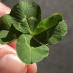 はんぺんさんのプロフィール画像