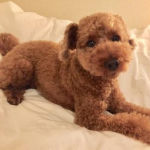 さやおさんのプロフィール画像