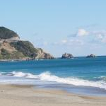 るでぃさんのプロフィール画像