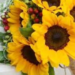 tamaさんのプロフィール画像