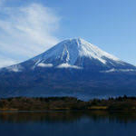 むむ子さんのプロフィール画像