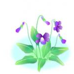 すみれさんのプロフィール画像