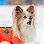 Aya-nyさんのプロフィール画像