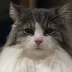 まぁやさんのプロフィール画像