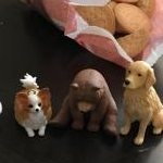 あずきんこさんのプロフィール画像