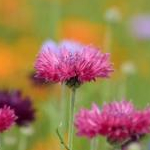 Mariaさんのプロフィール画像