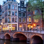 mameさんのプロフィール画像