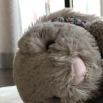 ふあふあちゃんさんのプロフィール画像