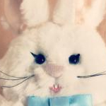 petitkoさんのプロフィール画像