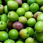 ガーベラさんのプロフィール画像