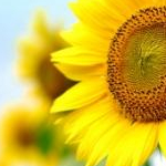 ともさんのプロフィール画像