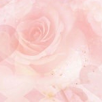 おもち。さんのプロフィール画像