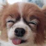 いずみたんさんのプロフィール画像