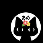 あめさんのプロフィール画像