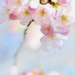 そらさんのプロフィール画像