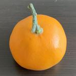 ハーゼンさんのプロフィール画像