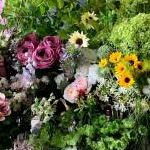 ふじさやさんのプロフィール画像