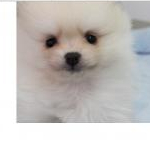 肝っ玉主婦さんのプロフィール画像