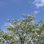 hohohoさんのプロフィール画像