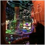 さんのプロフィール画像