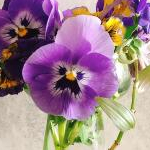 マリンさんのプロフィール画像