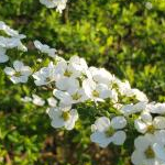 こんこんさんのプロフィール画像