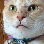 ライスコロッケ