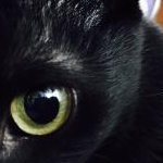 まゆみさんのプロフィール画像