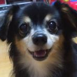 そらっちさんのプロフィール画像