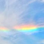 ひろぷーさんのプロフィール画像